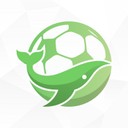 鲸鱼体育直播app正版图标